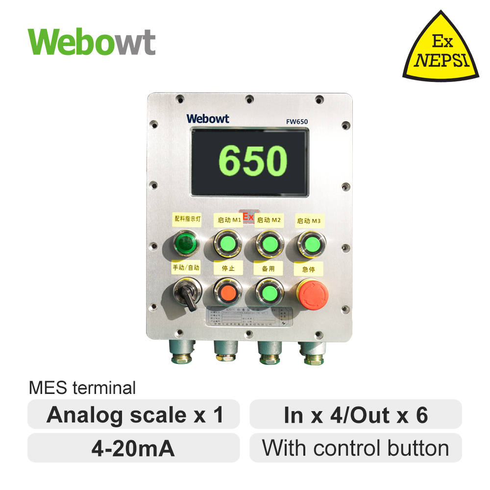 13 WEBOWT EXD FW650 with Control buttons-Aluminium IIB T6-7LCD HMI-IN4OUT6-4-20mA
