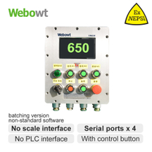  EXD FW650，touch screen explosion proof control box with button (7 inches)
