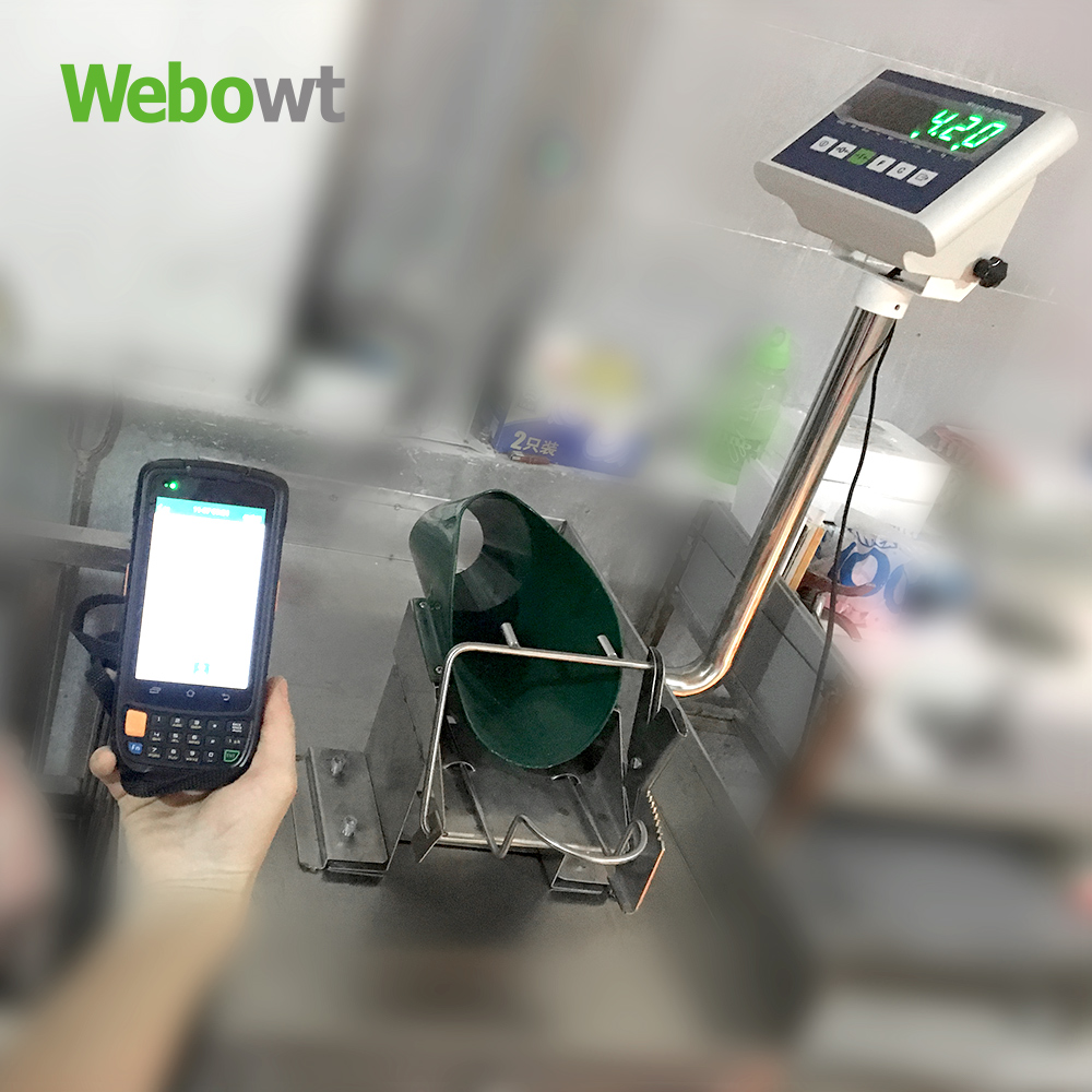 WEBOWT Neonatal Piglets Weighing for Breeding Pigs Management System 2