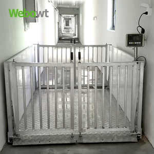 WEBOWT Livestock WEIGHING SCALE Hot Galvanized