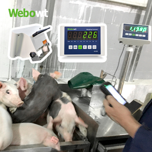 WEBOWT Neonatal Piglets Weighing for Breeding Pigs Management System 1