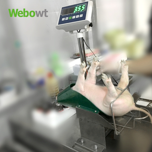 WEBOWT Neonatal Piglets Weighing for Breeding Pigs Management System 3