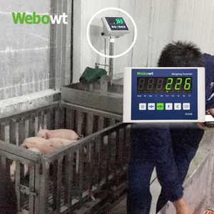 WEBOWT Neonatal Piglets Weighing for Breeding Pigs Management System 4